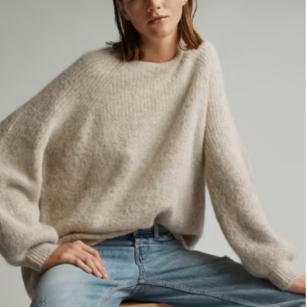 Everlane The SuperFuzz Alpaca Oversized Crew